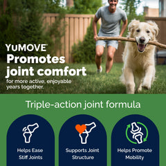 YuMOVE chewable tablets in hand for convenient canine joint support.