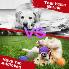 Yunsailing puppy training fetch balls support interactive training sessions.