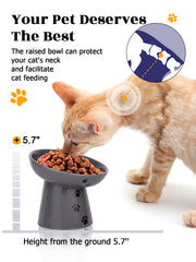 Y YHY shallow cat bowl minimizes whisker interference and spills