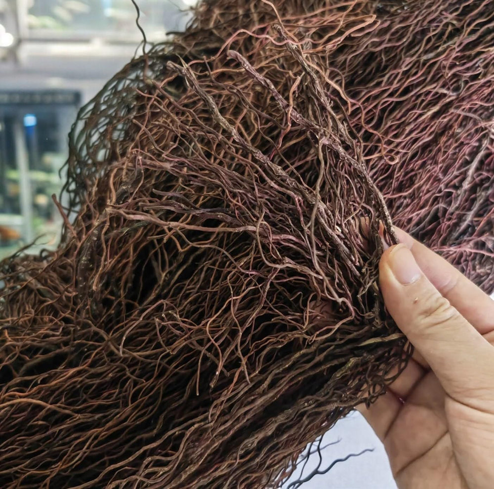 YZHZOM driftwood roots bushy for aquascaping adds natural structure and hiding spots.
