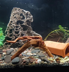 YZHZOM spiderwood unique shapes adds natural texture to aquariums