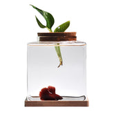 Zaborik desktop Betta tank with wood lid offers a clear view of fish and plants.