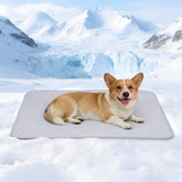 ZAKAPAWS cooling blanket on dog for instant cool relief