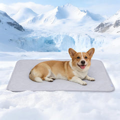 ZAKAPAWS cooling blanket on dog for instant cool relief