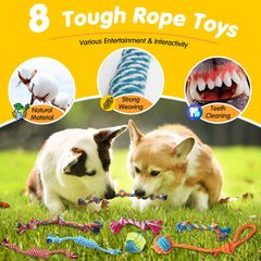 Zeaxuie treat ball engages problem-solving and reward learning.
