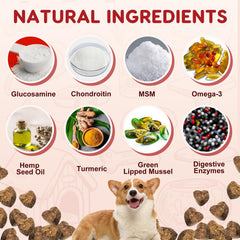 ZEBORA bone health minerals bottle supports strong bones and density.