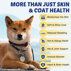 ZEBORA chicken-flavored dog chews in pack for easy, palatable treats