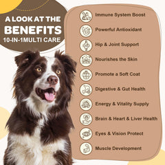 ZEBORA dog multivitamin chews close-up showing tasty bite-sized vitamins