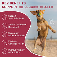 ZEBORA glucosamine chews close-up highlights real chicken flavor for dogs.