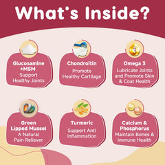 ZEBORA ingredients green-lipped mussel image shows natural joint care benefits.