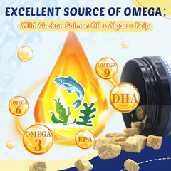 ZEBORA Omega-3 dog coat shine image emphasizes nourished fur and reduced shedding potential.