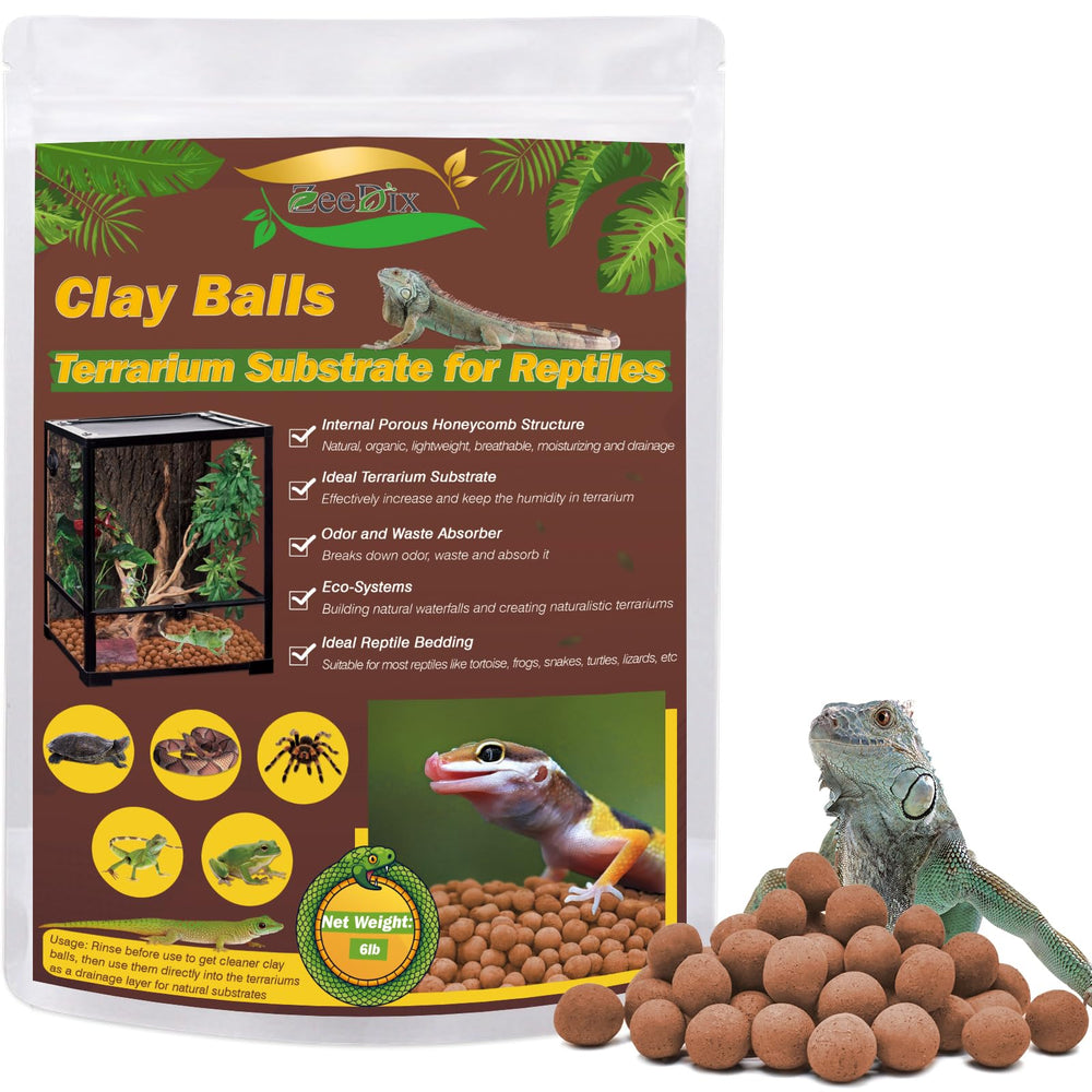 ZeeDix 6 LBS clay balls substrate in terrarium for natural drainage and humidity control.