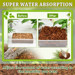 Zeedix moisture-absorbing substrate helps regulate terrarium humidity.