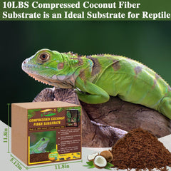 ZeeDix terrarium bedding demonstrates a clean habitat with odor control.
