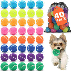Zeefpod bulk 40-pack dog tennis balls for multi-dog homes.