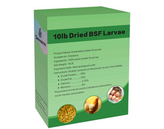 ZenithWorks dried BSF larvae packaging box showing a natural, protein-rich poultry snack.
