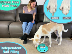 Zenly Paws Nail File Toy treat box ready for rewards during practice