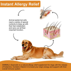 Ingredient label highlights natural quercetin within Zenpaws formula for dogs.