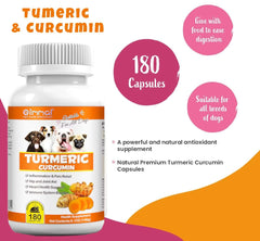 Zenpaws Turmeric for Dogs tablets close-up highlighting chewable format