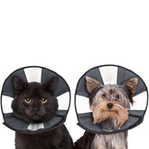 ZenPet Recovery Cone small with clear vision helps pets eat and drink comfortably after surgery.