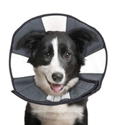 ZenPet Recovery Cone soft-edges for gentle post-surgery comfort.