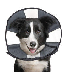 ZenPet Recovery Cone soft-edges for gentle post-surgery comfort.