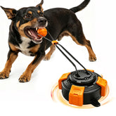 Zensrij interactive tug toy with suction cup grips surfaces for powerful chewers.