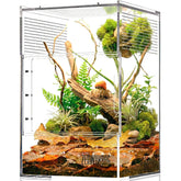 ZENWUKONG jumping spider enclosure front view for easy observation during feeding