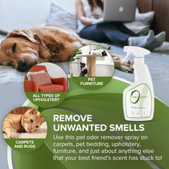 Zero Odor applied to carpet removes pet smells from fibers.