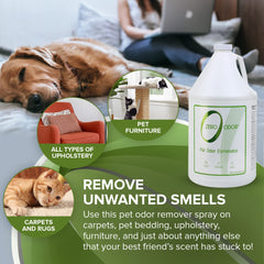 Zero Odor carpet and furniture spray eliminates stubborn odors in homes.