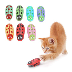 Zerodis cat interactive toys set with seven pieces for play and exploration