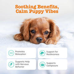 Zesty Paws Calming Chews closeup turkey chew promoting gentle relaxation.