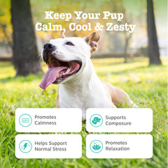 Zesty Paws Calming Chews dog serving showing treats for stressful moments.