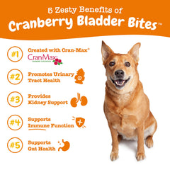 Zesty Paws cranberry chews in bowl for dog wellness and digestion.