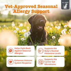 Zesty Paws Vet Strength chews texture close-up for itch relief potential.