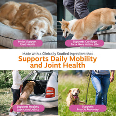 Zesty Paws glucosamine joint health chewing supplement