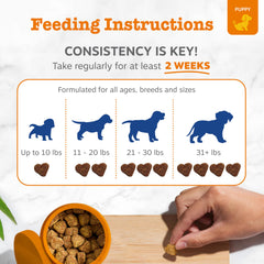 Zesty Paws Immune & Heart Health Chews support heart function and immune vitality.