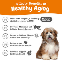 Zesty Paws NAD+ bottle shows energy support for dogs.