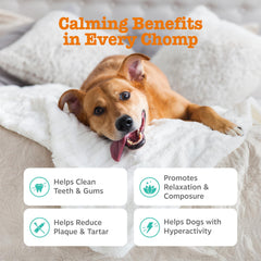 OraStix dental-sticks for dogs promoting healthy teeth and gums with peppermint and kelp.