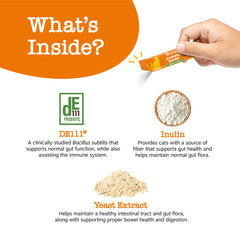 Scoop and bowl scene showing easy serving into meals with Zesty Paws Probiotics.