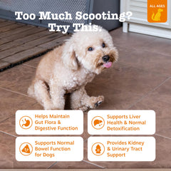 Open bottle of Scoot Away chews ready for canine gut support
