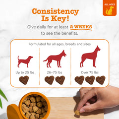 Treats shown in a bowl illustrate convenient daily dosing from Zesty Paws.