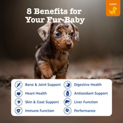 Zesty Paws Skin & Coat Support Chews help maintain healthy skin and a shiny coat.