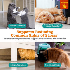 Zesty Paws three-pack refill for continuous calming of anxious cats