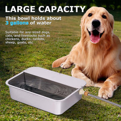 ZHEQOGZH outdoor setup shows continuous fresh water for large dogs.