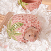 Zhilishu ceramic hamster hideout in full view, sturdy retreat for small pets.