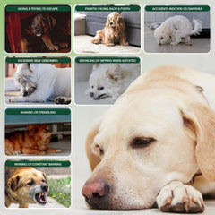 ZiehooGe Calming Chews ingredients display with chamomile and L-theanine for calmer mood.