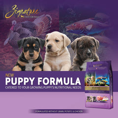 Zignature Puppy Formula dry food in bowl supports tasty meals for puppies