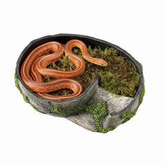 Zilla Rock Lair textured exterior enhances realism and hiding comfort.