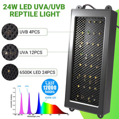 Zingbabu UVB Reptile Light 6500K daylight view reveals true color and patterns.